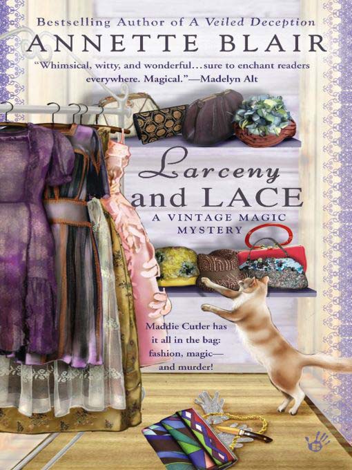 Title details for Larcency and Lace by Annette Blair - Available